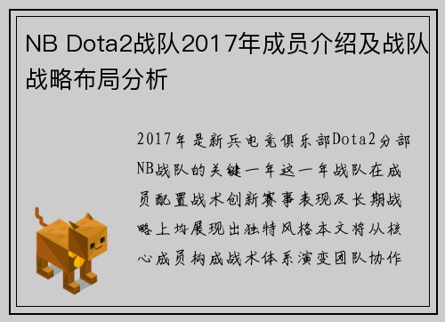 NB Dota2战队2017年成员介绍及战队战略布局分析